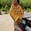 1990-ford-f800-image-68