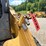 caterpillar-242b-image-18