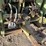 1980-steiger-bearcat-image-45