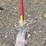 #216-•-dual-link-tree-trimmer-image-1