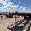1982-shopbuilt-40’-x-8’-t/a-flatbed-trailer-image-2