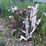 #8070-•-drill-carrier-image-2