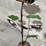 #32-•-metal-art---sunflowers-w/-lady-bug-image-2
