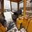 john-deere-850-image-50