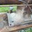 mccormick-6hp-project-image-15