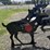 #55-•-deer-shaped-shooting-target-image-1