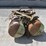 poly-tanks-with-mounts-46165-image-2