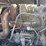 1976-mack-dm600-image-21