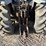 landini-85f-image-9