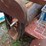 service-trailer,-7'x4'-miller-welder-bluestar-image-8