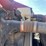 2007-peterbilt-367-image-25
