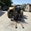 2016-caterpillar-tl642d-image-7