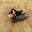 #2055-•-new-mini-8"-bucket-attachment-image-5