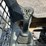 2021-bobcat-t76-image-20