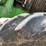 john-deere-2755-image-19