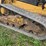 2020-caterpillar-259d3-image-12