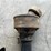mckee-corn-hog-image-22