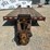 1997-king-trail-image-8