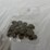 #40040-•-(58)-early-1900's-v-nickels-image-11