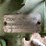 john-deere-model-b-image-20