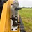 2026-caterpillar-255-image-18