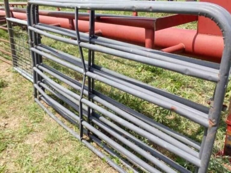 3--8'-6-bar-gates-image-2
