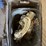 #8362-•-assorted-lot-image-11