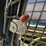 new-holland-c185-image-26