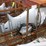 honda-150-vtec-4-stroke-outboard-boat-engine-image-3