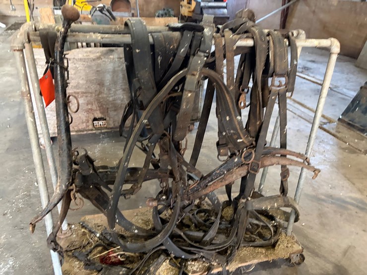 #8359-•-single-draft-horse-harness-image-1