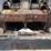 bobcat-743-image-11