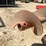 #3375-•-silomatic-10'-grain-auger-image-17