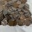#40031-•-(300)-old-wheat-pennies-image-4