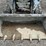 2022-bobcat-t550-image-10
