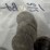#40035-•-(50)-1776-1976-bicentennial-one-dollar-coins-image-17