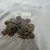 #40041-•-(50)-buffalo-nickels-image-13