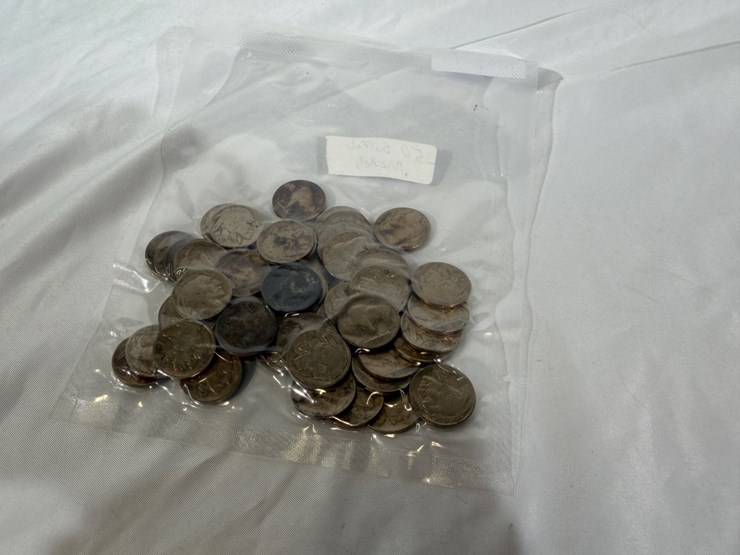 #40041-•-(50)-buffalo-nickels-image-13