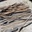 pallet-of-tabbaco/bean-sticks-image-1