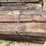#3452-•-bundle-of-(16)-railroad-ties-image-7