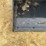 #2028-•-new-wolverine-skid-steer-66"-bucket-image-10