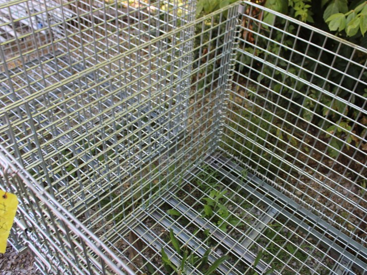 metal-foldable-shop-crate/-wire-basket-image-3