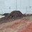 #4882-•-pile-of-brown-mulch-image-4