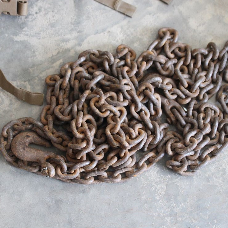 20' Log Chain