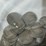 #40040-•-(58)-early-1900's-v-nickels-image-17