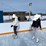calmac-ice-mat-ii-44-ft-x-60-ft-ice-rink-kit-image-5