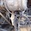 2009-deere-310sj-image-38