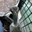 2015-bobcat-t650-image-21