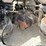 peterbilt-379-image-23