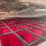 #4886-•-boss-vbx+-9000-poly-salt-spreader-image-11