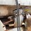 #403-•-new-idea-manure-spreader-image-25